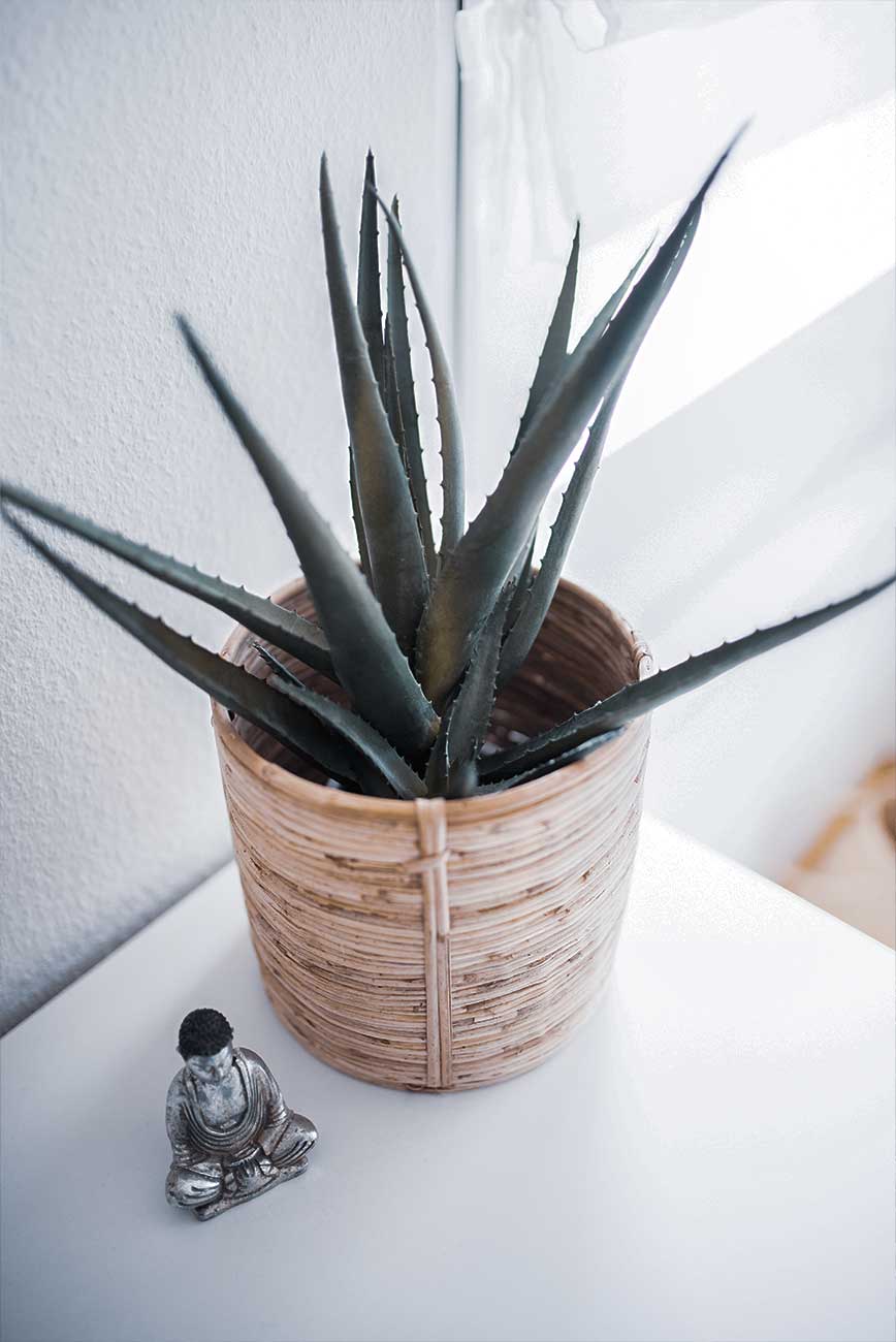 オフィスカウキャット